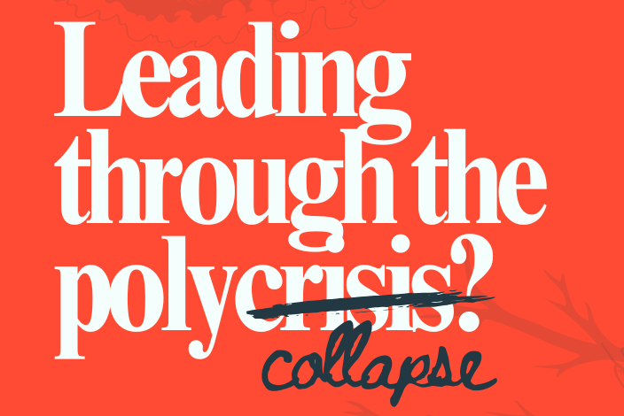 Free External Event: Getting on with Leading Through the Polycollapse