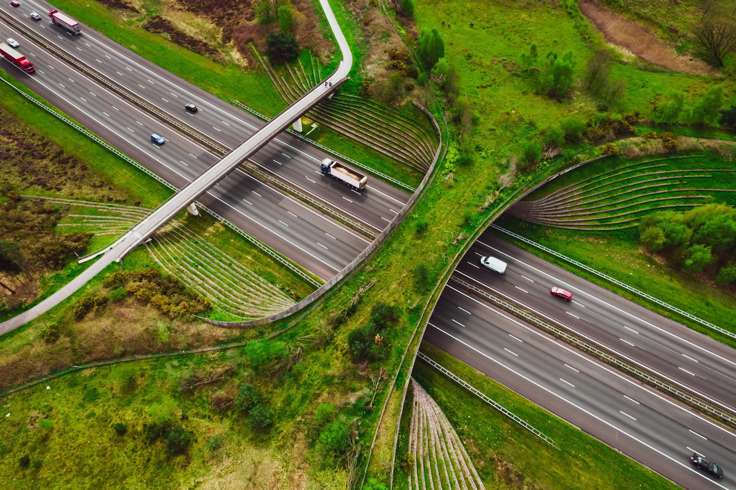 BSI Net Zero Week 2026: Turning Ambition into Action Across Every Sector