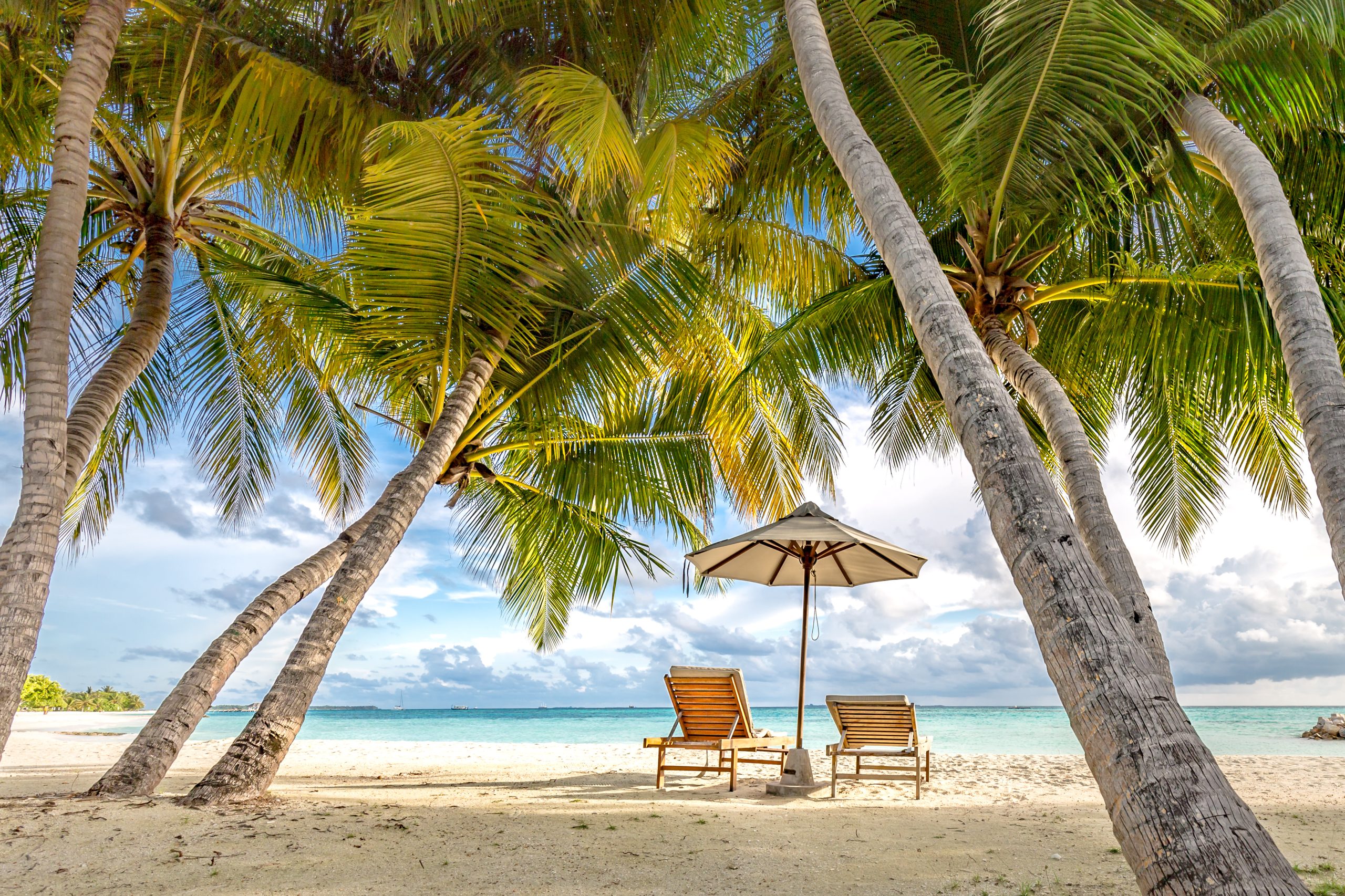 £100 off Times Holidays